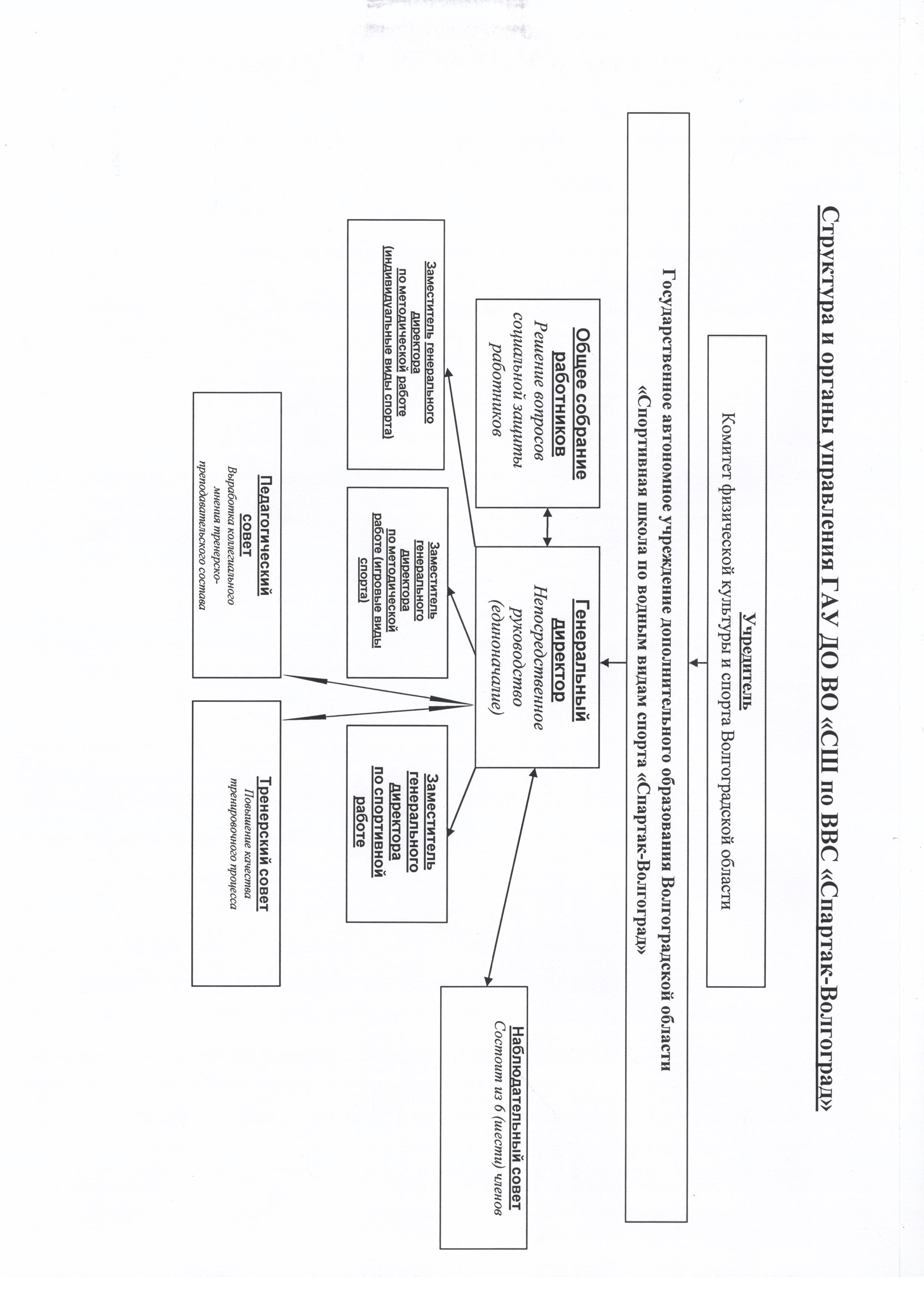 Структура и органы управления « ГАУ ДО ВО «СШ по водным видам спорта « Спартак-Волгоград»